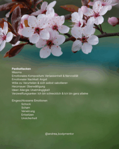 Darstellung emotionaler Ungleichgewichte als Ursache von Panikattacken; Visualisierung von innerer Anspannung und anschließender Ruhe