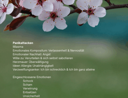 Hilfe! Wie geh ich mit Panikattacken um?