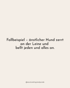 fallbeispiel ängstlicher hund