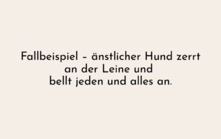 fallbeispiel ängstlicher hund