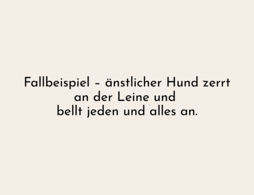 Fallbeispiel –
