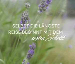 andrea sojka body code