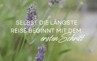 andrea sojka body code