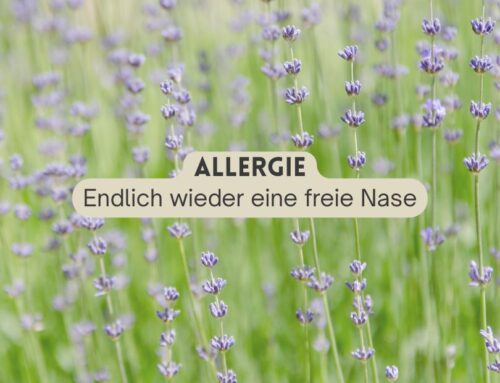 Endlich wieder eine freie Nase!