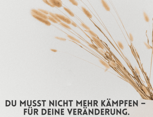 Du musst nicht mehr kämpfen –  für deine Veränderung.
