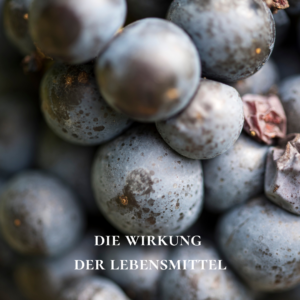 Wirkung der Lebensmittel Soul Cooking Andrea Sojka