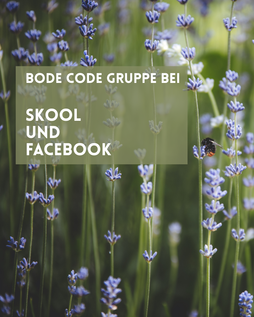 Body Code Gruppe bei Skool und Facebook