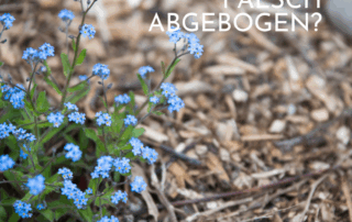 wo sind wir falsch abgebogen