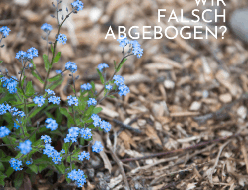 Wo sind wir falsch abgebogen?