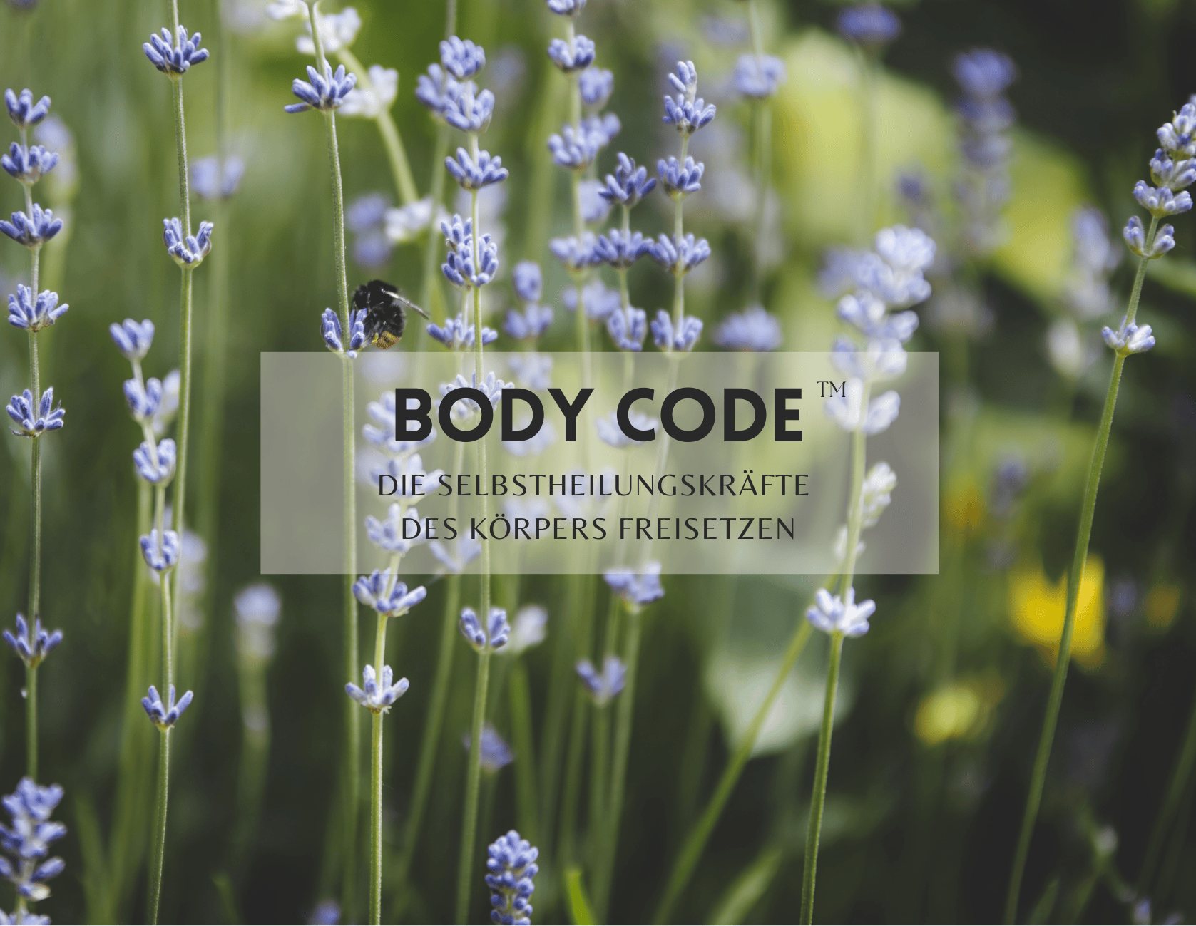 Body Code Selbstheilungskräfte aktivieren Body Code Session in Niederösterreich – emotionale Blockaden lösen