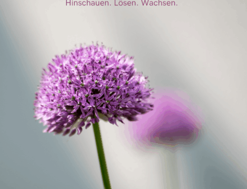Was dich bremst,…