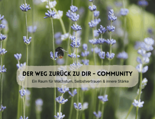 Community – „Andrea – Der Weg zurück zu dir“