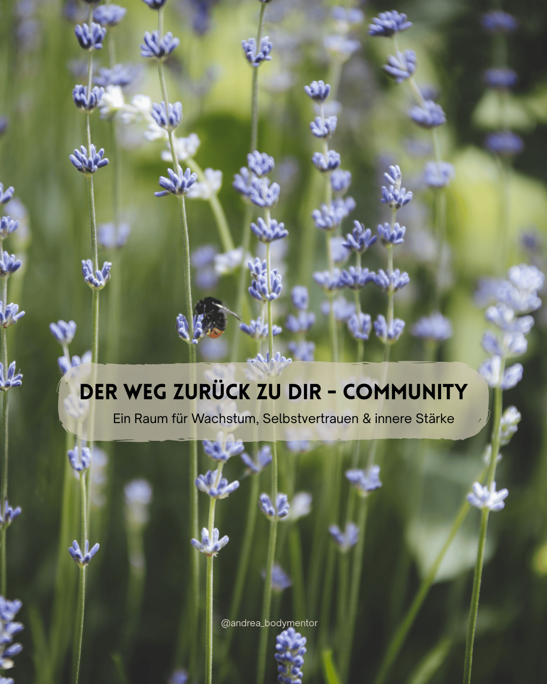 community - facebookgruppe - dein weg zurück zu dir