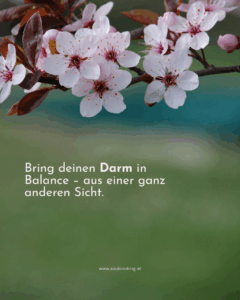 Darmsanierung