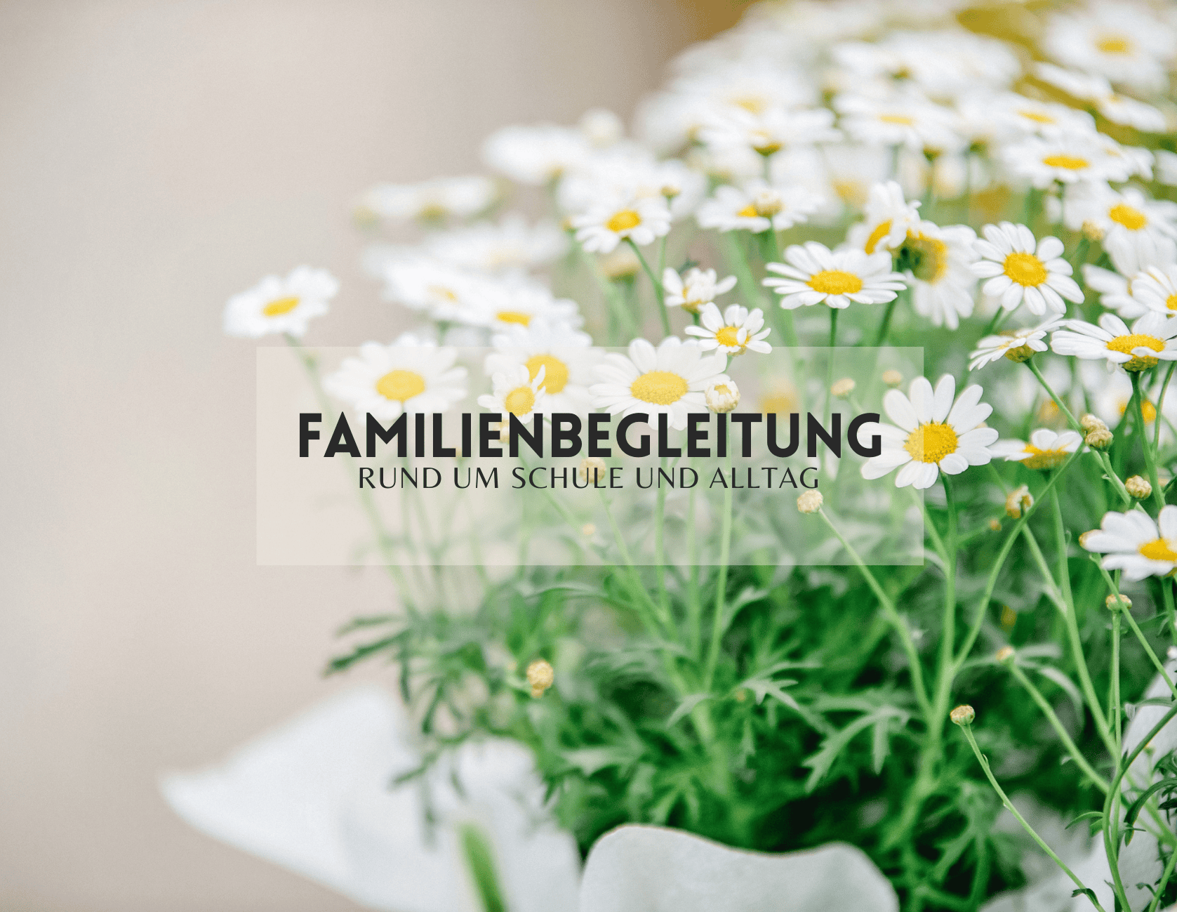 Familienbegleitung bei Schulthemen und Alltagsthemen Reconnect Methode – Transformation für Körper und Unterbewusstsein