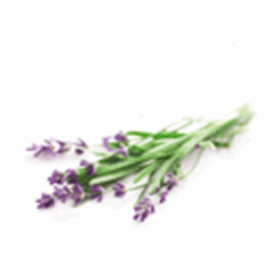 favicon_soulcooking