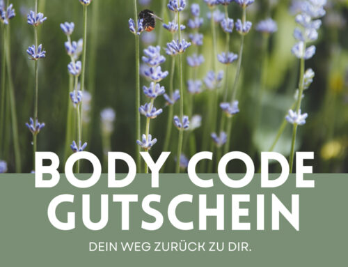 Gutscheine ab jetzt erhältlich!