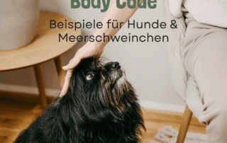 body code für tiere