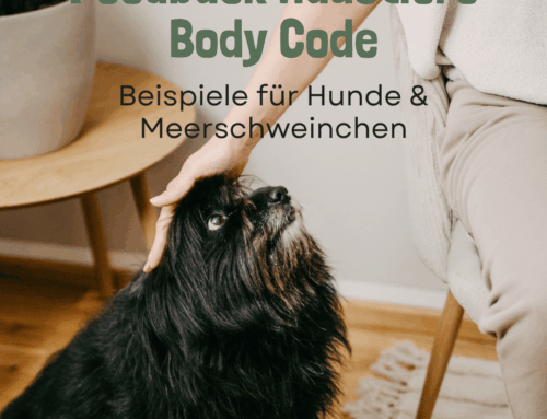 Body Code für Tiere