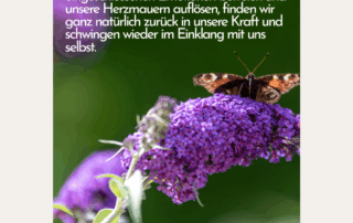 Herzmauer lösen und zurück zu dir finden