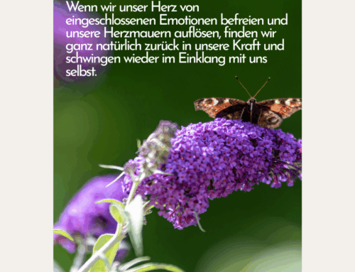 Fühle den Unterschied!