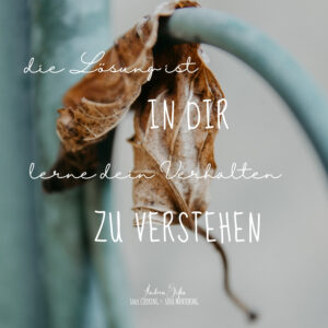 lerne dein verhalten zu verstehen soul cooking andrea sojka