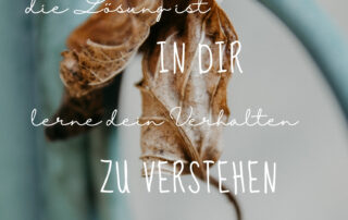 lerne dein verhalten zu verstehen soul cooking andrea sojka