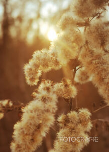 mut soulcooking coaching beratung tcm soul reflexion mentalestärke