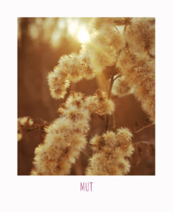 mut soulcooking coaching beratung tcm soul reflexion mentalestärke