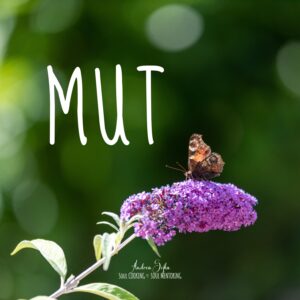 Mut soulcooking andrea sojka beratung