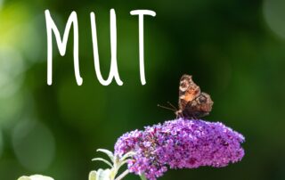 Mut soulcooking andrea sojka beratung