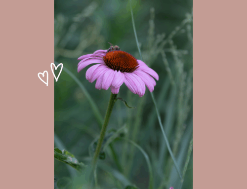 Muttertag / Gewinnspiel