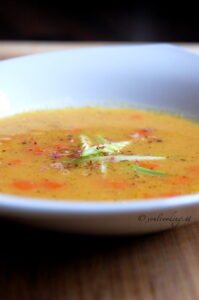 rote linsen orangen suppe koriander karotte tcm andrea sojka