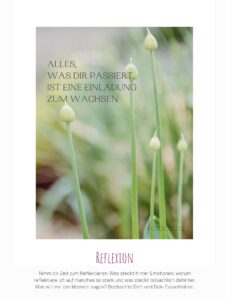 reflexion pflanze soul cooking vegan vegetarisch rezept muster mentalestärke mentalcoach