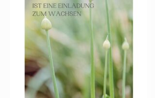 reflexion pflanze soul cooking vegan vegetarisch rezept muster mentalestärke mentalcoach