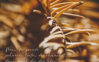 Spruch Soulcooking Andrea sojka