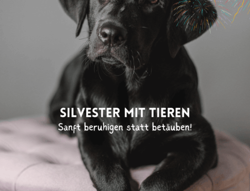 Sanft beruhigen statt betäuben!