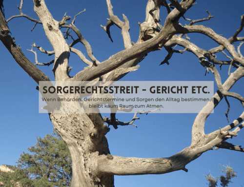 Sorgerechtsstreit & Body Code