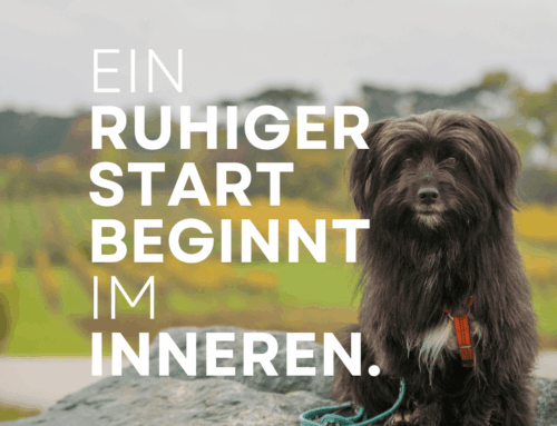 Einen schönen, freien Start ins neue Jahr