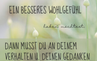 wohlgefühl Soul cooking andrea sojka selbstbestimmung freisein