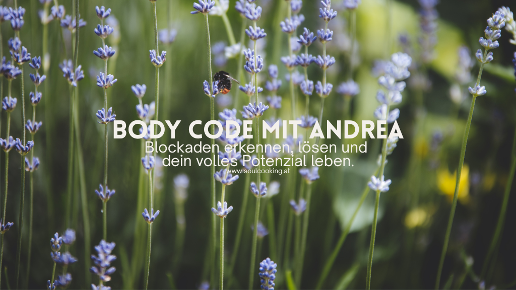 Body Code Gruppe